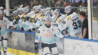 Dresden flitzt mit großem Getöse in die Deutsche Eishockey Liga