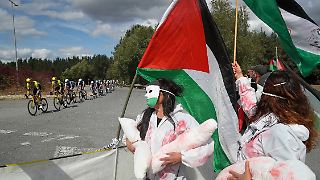 Gaza-Demonstranten fällen Baum - erneut Chaos bei der Vuelta
