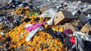 EU will weniger Lebensmittelverschwendung – doch Handel und Gastronomie sehen Grenzen