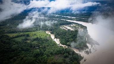 142 Umweltschützer im vergangenen Jahr getötet