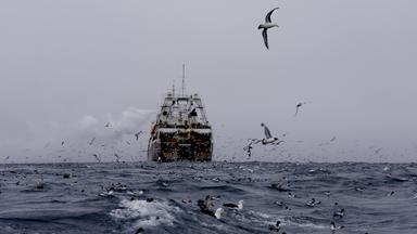 UN-Abkommen zum Hochseeschutz kann starten