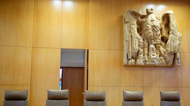 Linke beklagt "grottenschlechtes Handwerk"