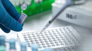 Leipziger Biotech-Firma c-LEcta bezieht neues Hauptquartier