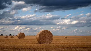 Neue Agrarpläne der EU: In der ostdeutschen Landwirtschaft geht die Angst um