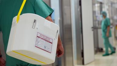 Länder machen sich erneut für Widerspruchslösung stark