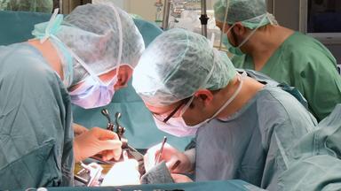 Etwas mehr Organspenden in Deutschland