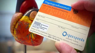 Organspende in Mitteldeutschland: Mehr Spenden, doch lange Wartelisten