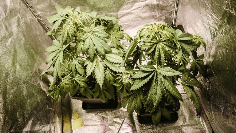 Erster Zwischenbericht fällt mäßig aus