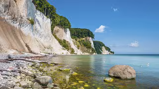 Algen in der Ostsee: Mensch hat Erbgut merklich verändert