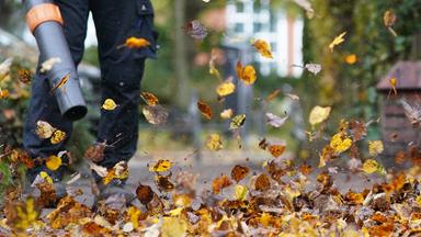 Laubbläser in Zürich nur noch eingeschränkt erlaubt