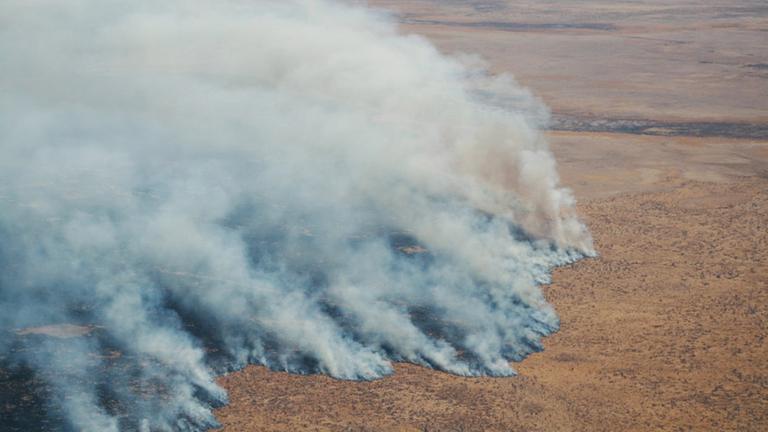 Nationalpark in Namibia brennt - ein Drittel zerstört