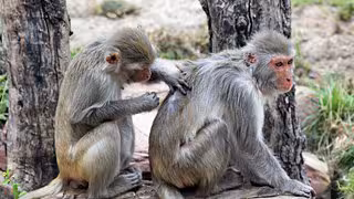 Frauen leben länger als Männer – das liegt auch an den Genen