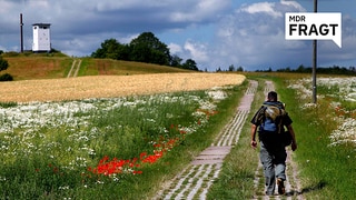 35 Jahre Einheit: Ost und West sind für große Mehrheit noch immer nicht zusammengewachsen