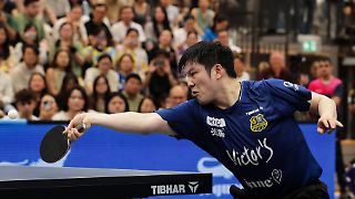 Chinas Tischtennis-Held erleidet Schiffbruch in der Bundesliga