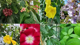 Jena: Wichtiger Enzym-Baustein für Krebsmittel-Entwicklung gefunden