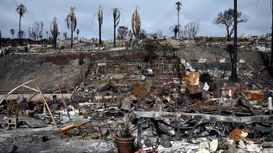 Mutmaßlicher Pacific-Palisades-Brandstifter festgenommen