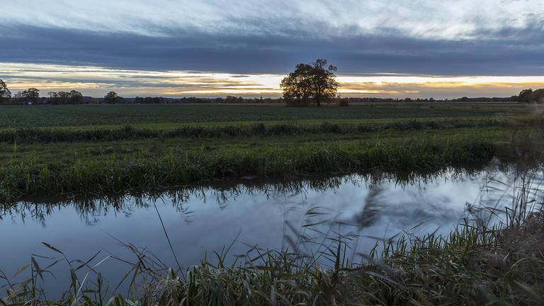 Bund muss mehr gegen Nitrat im Wasser tun