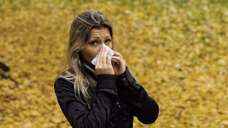 Erkältungswelle rollt – Rhinoviren auf dem Vormarsch