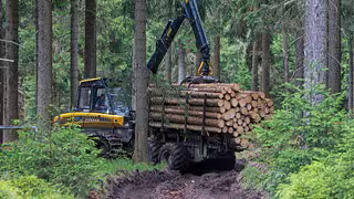 Mehr Holz, weniger Beton, schnellere Verfahren