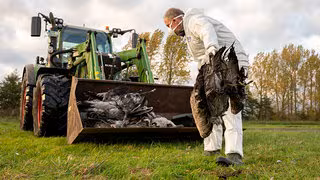 Gefl&uuml;gelhalter fordern Stallpflicht wegen Vogelgrippe