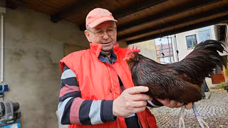 Was die Ausbreitung der Vogelgrippe f&uuml;r private Gefl&uuml;gelhalter bedeutet
