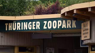 Mitteldeutsche Zoos r&uuml;sten sich gegen Vogelgrippe
