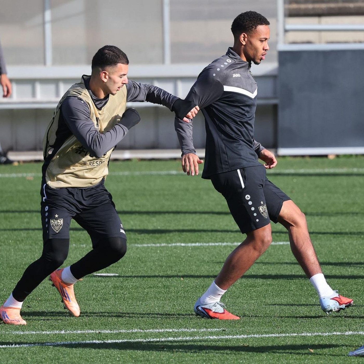 Wer überträgt die internationalen Spiele von Stuttgart, Freiburg und Mainz?