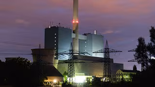 Biodiesel-Kraftwerke sind keine Alternative