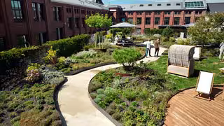 Immer mehr Dächer werden zu grünen Oasen