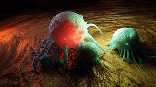 Neuer Ansatz gegen Krebs: Schädliche Proteine einfach abbauen