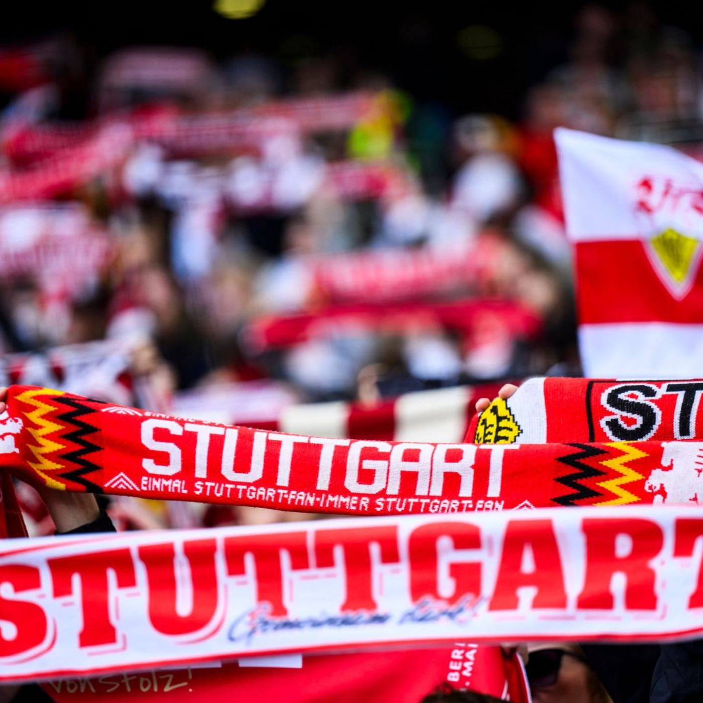 VfB-Fans geraten in Deventer mit Polizei aneinander – und reisen ab