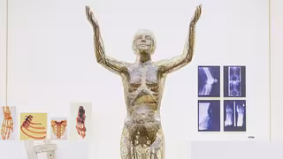 Comeback einer Ikone: Gläserne Frau kehrt in Ausstellung zurück