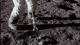 Dresdner Forschende ernähren Algen mit Mond- und Marsgestein