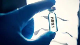 Fieber stoppt menschliche Grippe, aber nicht Vogelgrippe