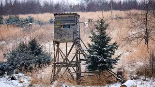 Warum die Jagd das Klima schützen kann – und die Natur jünger macht