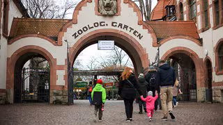 Zoo Leipzig bestätigt Vogelgrippe-Fall: Das müssen Besucher wissen