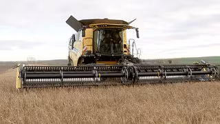 217 Millionen Euro f&uuml;r Th&uuml;ringer Landwirte von der EU