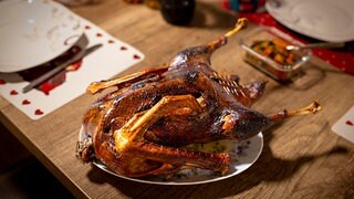 Folgen der Vogelgrippe: Ist die Weihnachtsgans sicher?