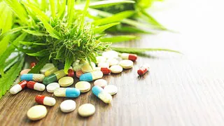 Die n&uuml;chterne Bilanz zu Cannabis: Kleine Schmerzlinderung, gr&ouml;&szlig;ere Nebenwirkungen