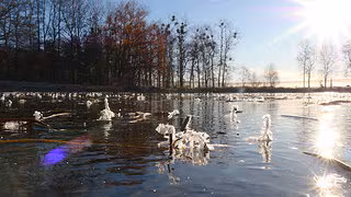 K&auml;lteste Weihnachten seit 15 Jahren &ndash; Schnee k&ouml;nnte Silvester-B&ouml;ller d&auml;mpfen