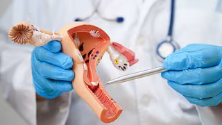 Mehr Forschung und Ausbildung zu Wechseljahren bei Frauen