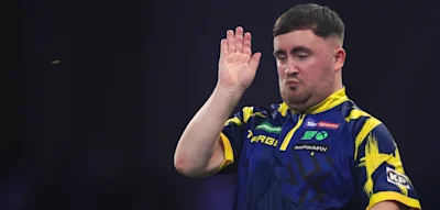 R&auml;tsel gel&ouml;st &ndash; Forscher erkl&auml;rt die Auftritte der legend&auml;ren Ally-Pally-Wespe