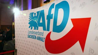 Worum es in der Schlammschlacht in der AfD Sachsen-Anhalt geht