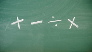 Matheprofessor: Halbschriftliches Dividieren besser f&uuml;r Verst&auml;ndnis