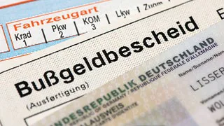 Expertin: Gegen Handel mit Flensburg-Punkten sind neue Ermittlungsabteilungen n&ouml;tig