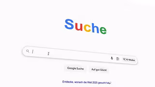 Wie KI-Suche die Vielfalt im Netz bedroht