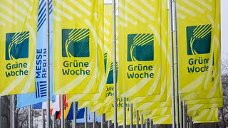 Kiwis, Algen-Crispies und Germanen-Bier aus Mitteldeutschland