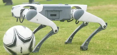 Mexikos Polizei setzt bei der WM auf Roboter-Hunde