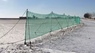 Warum in diesem Winter keine Schneefangz&auml;une aufgebaut wurden