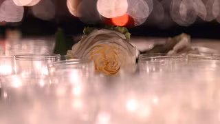 Gedenken, Demos, Menschenkette in Dresden: Was Teilnehmer und Anwohner wissen m&uuml;ssen